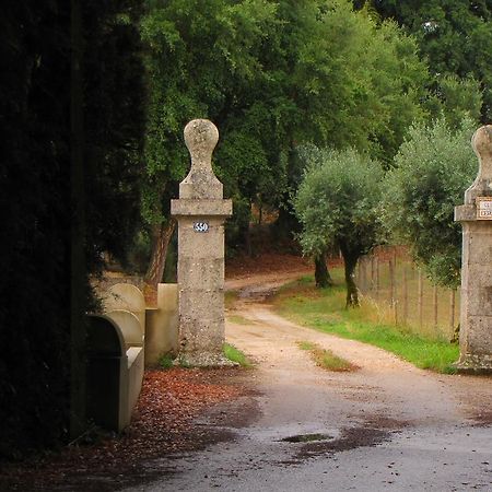 فيلا Quinta Do Cerquito Ferreira do Zêzere المظهر الخارجي الصورة