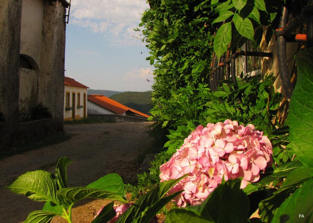 فيلا Quinta Do Cerquito Ferreira do Zêzere المظهر الخارجي الصورة