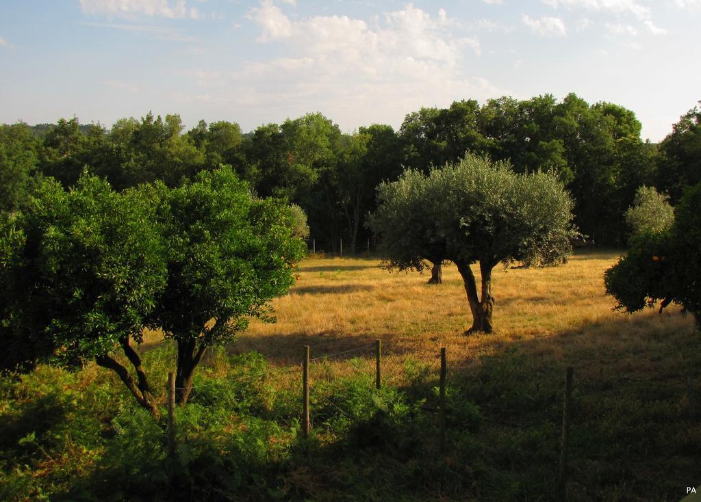 فيلا Quinta Do Cerquito Ferreira do Zêzere المظهر الخارجي الصورة