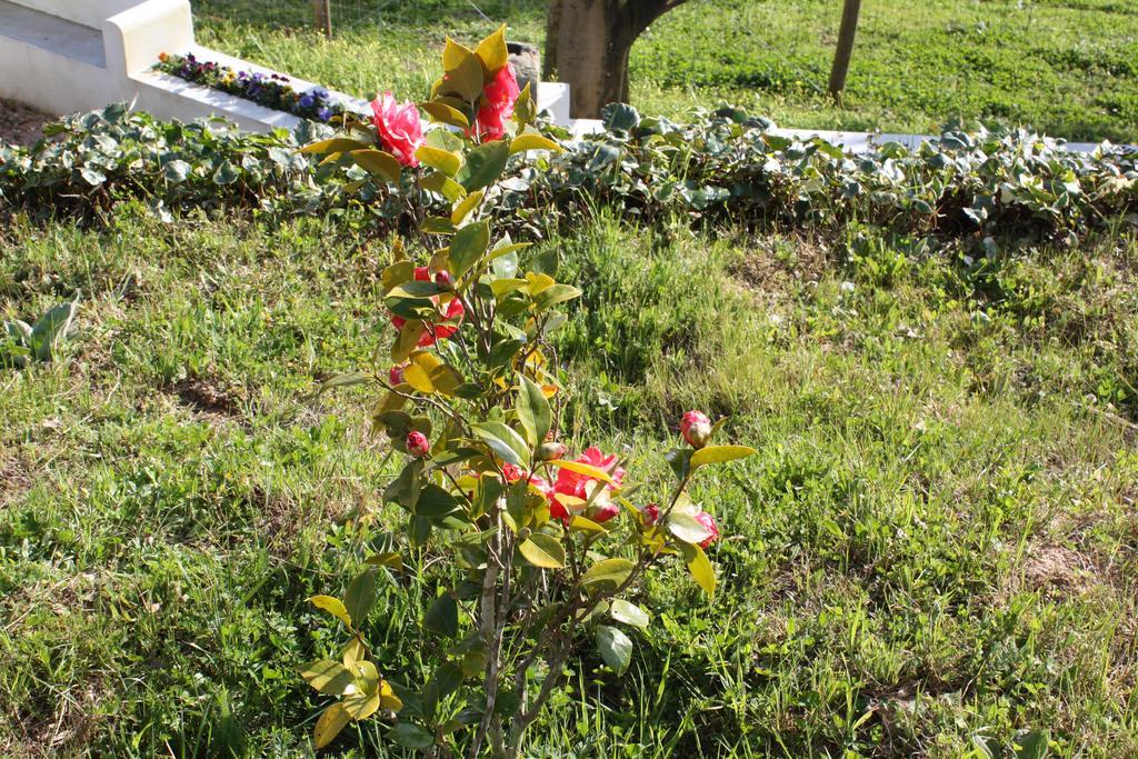 فيلا Quinta Do Cerquito Ferreira do Zêzere المظهر الخارجي الصورة