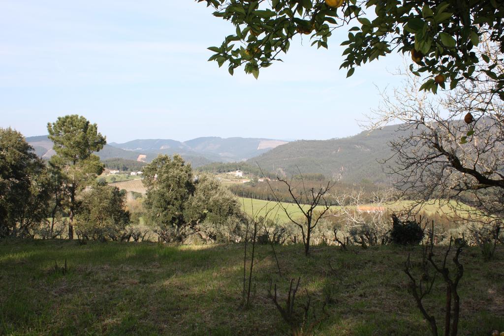 فيلا Quinta Do Cerquito Ferreira do Zêzere المظهر الخارجي الصورة