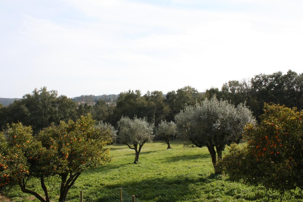 فيلا Quinta Do Cerquito Ferreira do Zêzere المظهر الخارجي الصورة