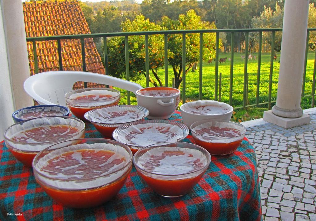فيلا Quinta Do Cerquito Ferreira do Zêzere المظهر الخارجي الصورة
