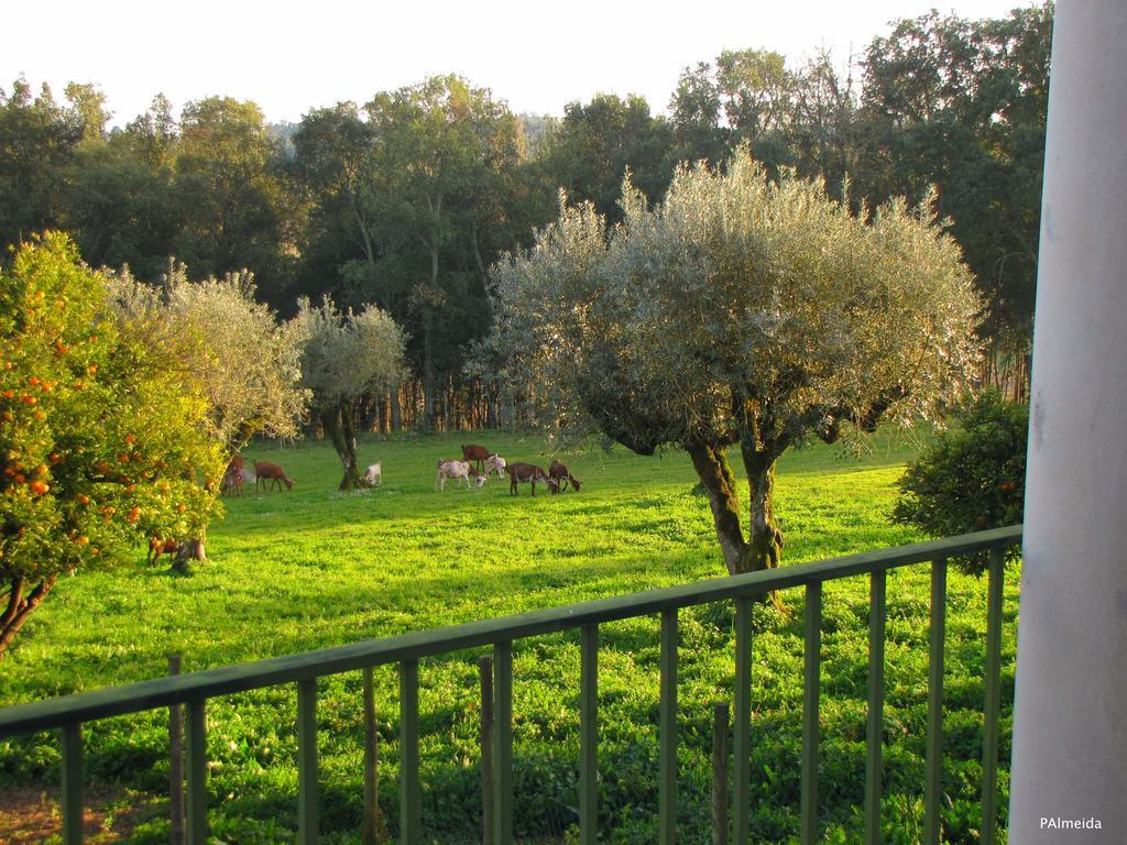 فيلا Quinta Do Cerquito Ferreira do Zêzere المظهر الخارجي الصورة